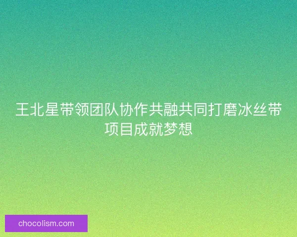 王北星带领团队协作共融共同打磨冰丝带项目成就梦想